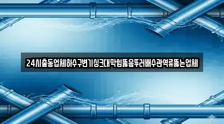 24시출동업체하수구변기싱크대막힘뚫음뚜러배수관역류뚫는업체