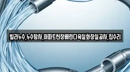 빌라누수,누수탐사,아파트천장베란다욕실화장실공사,집수리