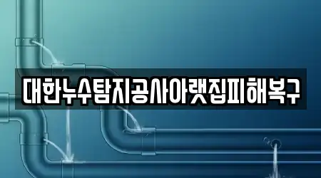 대한누수탐지공사아랫집피해복구