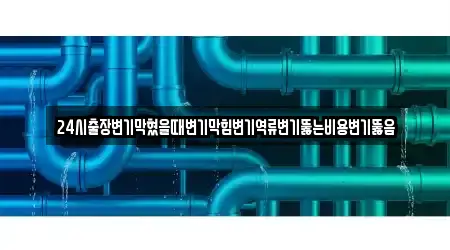 24시출장변기막혔을때변기막힘변기역류변기뚫는비용변기뚫음
