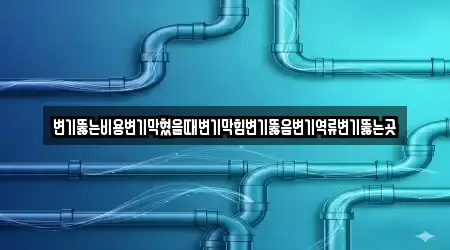 변기뚫는비용변기막혔을때변기막힘변기뚫음변기역류변기뚫는곳
