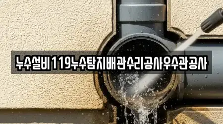 누수설비119누수탐지배관수리공사우수관공사