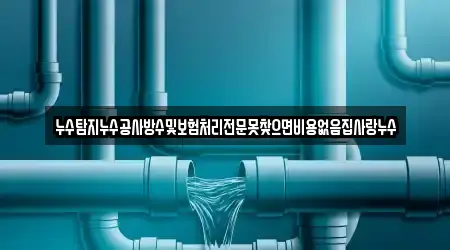 누수탐지누수공사방수및보험처리전문못찾으면비용없음집사랑누수