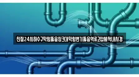 친절24시하수구막힘뚫음싱크대막힘변기뚫음역류고압세척내시경
