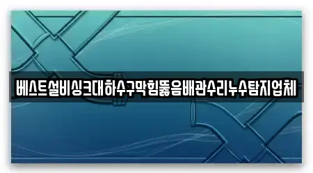 베스트설비싱크대하수구막힘뚫음배관수리누수탐지업체