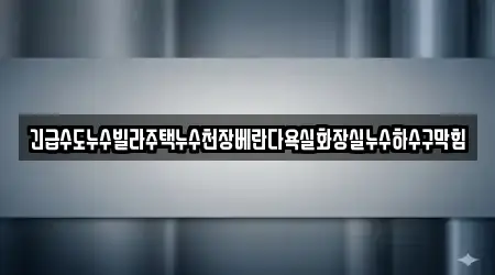 긴급수도누수빌라주택누수천장베란다욕실화장실누수하수구막힘