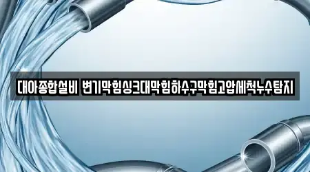 대아종합설비 변기막힘싱크대막힘하수구막힘고압세척누수탐지