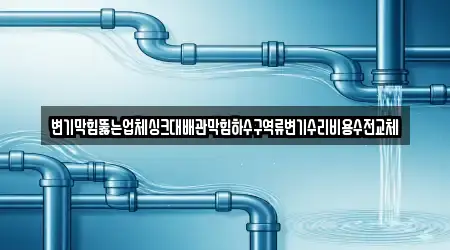 변기막힘뚫는업체싱크대배관막힘하수구역류변기수리비용수전교체