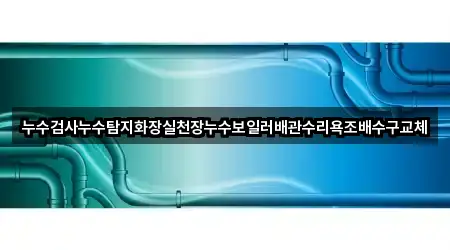 누수검사누수탐지화장실천장누수보일러배관수리욕조배수구교체