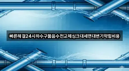 빠른해결24시하수구뚫음수전교체싱크대세면대변기막힘비용