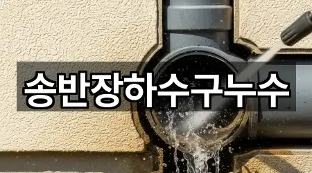송반장하수구누수