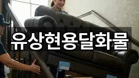 유상현용달화물