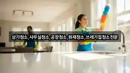 상가청소,사무실청소,공장청소,화재청소,쓰레기집청소전문