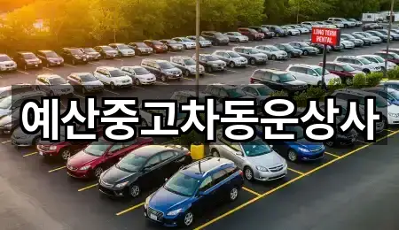 예산중고차동운상사