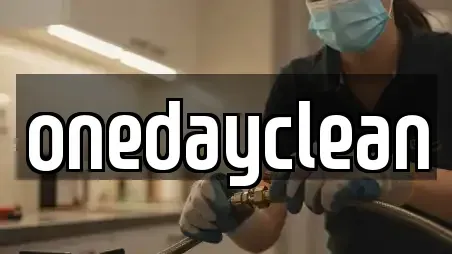 onedayclean
