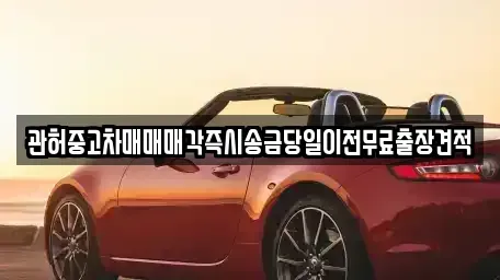 강원 강릉시 내곡동 중고차 전문 관허중고차매매매각즉시송금당일이전무료출장견적