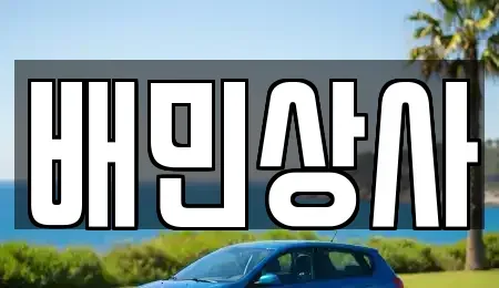 강원 강릉시 내곡동 중고차 전문 배민상사