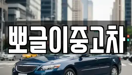 강원 강릉시 내곡동 중고차 전문 뽀글이중고차