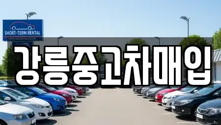 강원 강릉시 내곡동 중고차매입 전문 강릉중고차매입