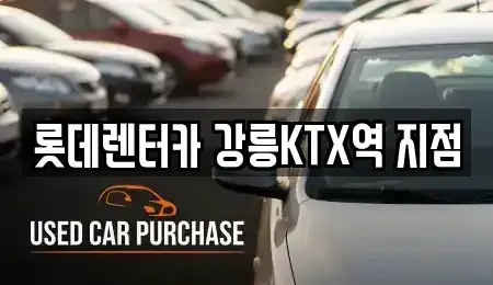 강원 강릉시 입암동 렌트카 전문 롯데렌터카 강릉KTX역 지점