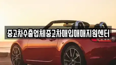 강원 강릉시 입암동 중고차매입 전문 중고차수출업체중고차매입매매지원센터