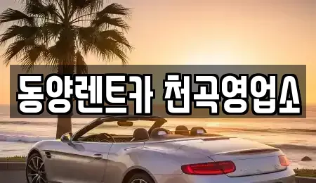 강원 동해시 용정동 렌트카 전문 동양렌트카 천곡영업소
