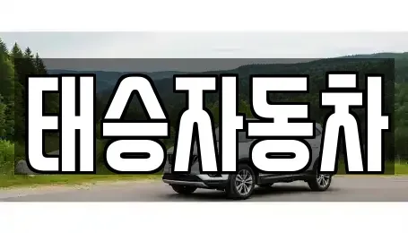 강원 원주시 태장동 중고차 전문 태승자동차