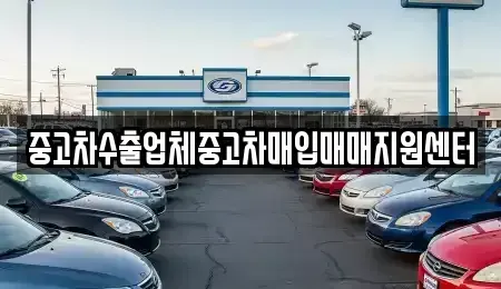 강원 춘천시 소양로4가 중고차매입 전문 중고차수출업체중고차매입매매지원센터