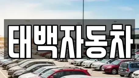 강원 태백시 문곡동 중고차 전문 태백자동차