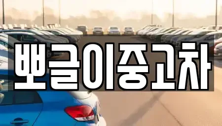 강원 태백시 문곡동 중고차매매 전문 뽀글이중고차