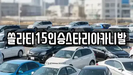 강원 횡성군 강림면 렌트카 전문 쏠라티15인승스타리아카니발