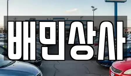 강원 횡성군 둔내면 중고차 전문 배민상사
