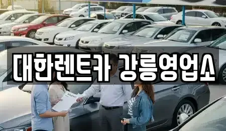 강원특별자치도 강릉시 죽헌동 렌트카 전문 대한렌트카 강릉영업소