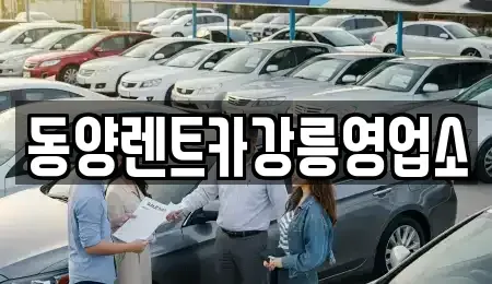 강원특별자치도 강릉시 죽헌동 렌트카 전문 동양렌트카강릉영업소