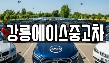 강원특별자치도 강릉시 죽헌동 중고차 전문 강릉에이스중고차