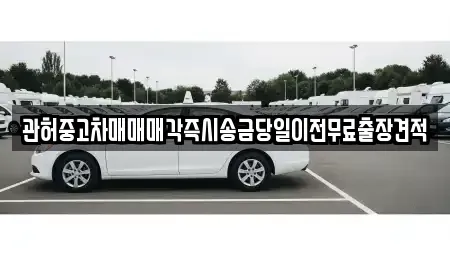 강원특별자치도 강릉시 죽헌동 중고차,렌트카,중고차매입,중고차매매,장기렌트카,단기렌트카