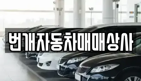 강원특별자치도 강릉시 죽헌동 중고차 전문 번개자동차매매상사