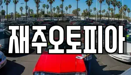 강원특별자치도 강릉시 죽헌동 중고차 전문 재주오토피아