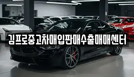 강원특별자치도 고성군 거진읍 중고차 전문 김프로중고차매입판매수출매매센터