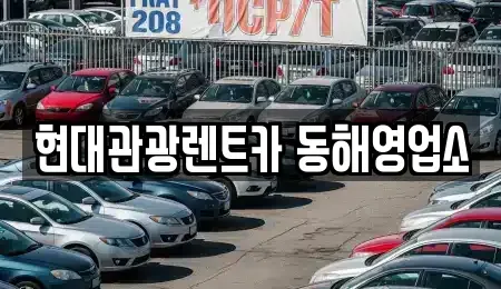 강원특별자치도 동해시 귀운동 장기렌트카 전문 현대관광렌트카 동해영업소