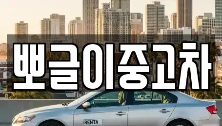 강원특별자치도 동해시 귀운동 중고차매매,단기렌트카,중고차매입,장기렌트카,중고차,렌트카