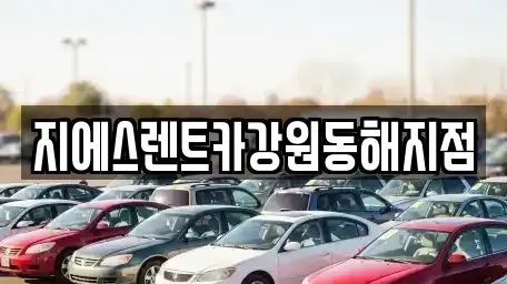 강원특별자치도 동해시 동회동 렌트카 전문 지에스렌트카강원동해지점