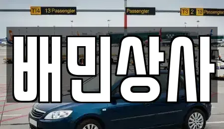 강원특별자치도 동해시 동회동 중고차 전문 배민상사