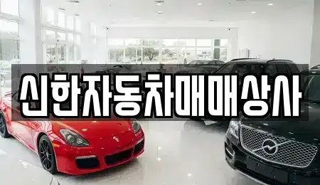 강원특별자치도 동해시 동회동 중고차 전문 신한자동차매매상사
