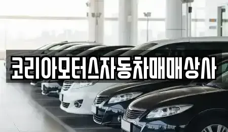 강원특별자치도 동해시 동회동 중고차 전문 코리아모터스자동차매매상사