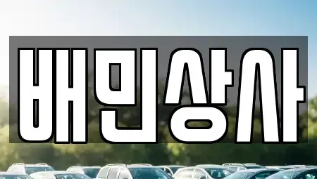 강원특별자치도 삼척시 근덕면 중고차매매 전문 배민상사