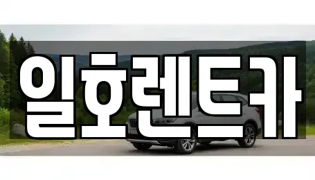 강원특별자치도 속초시 장사동 렌트카 전문 일호렌트카