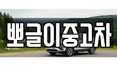 강원특별자치도 속초시 장사동 중고차매매 전문 뽀글이중고차
