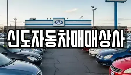 강원특별자치도 속초시 장사동 중고차매매,단기렌트카,중고차매입,장기렌트카,중고차,렌트카