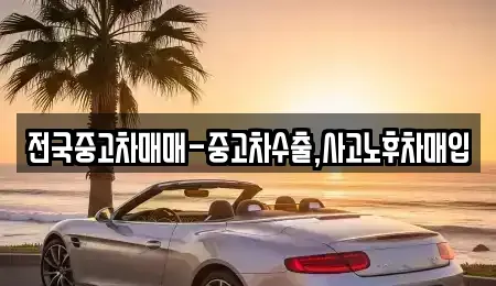 강원특별자치도 속초시 장사동 중고차매매 전문 전국중고차매매-중고차수출,사고노후차매입
